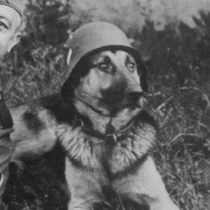 Meet your Posher, Charlie